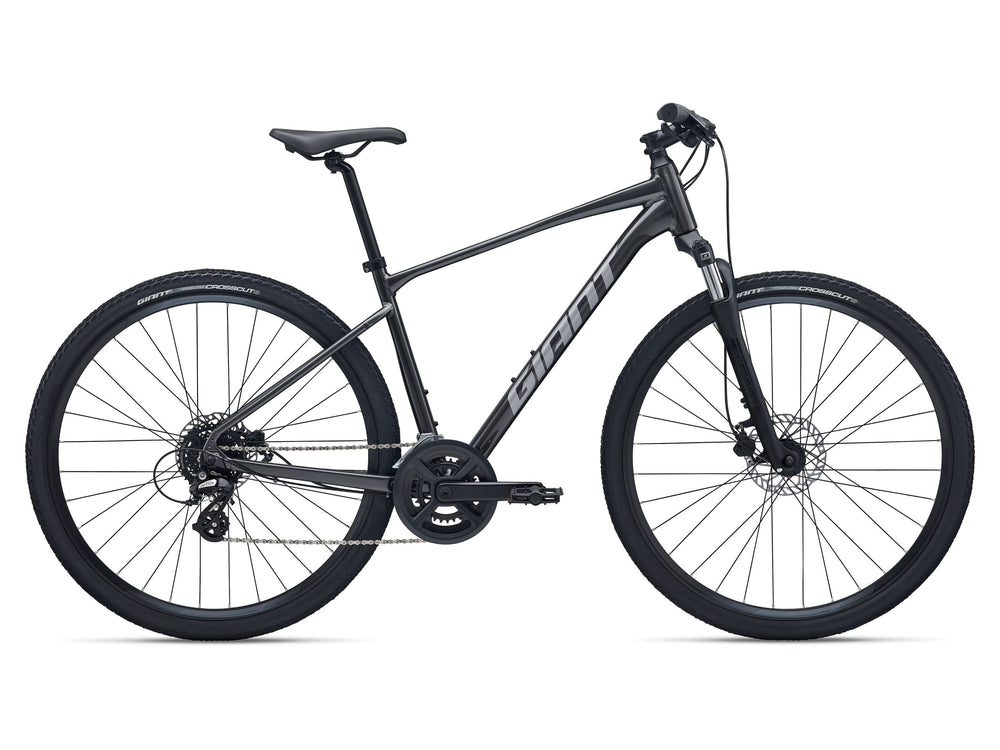 2026 GIANT ROAM 4