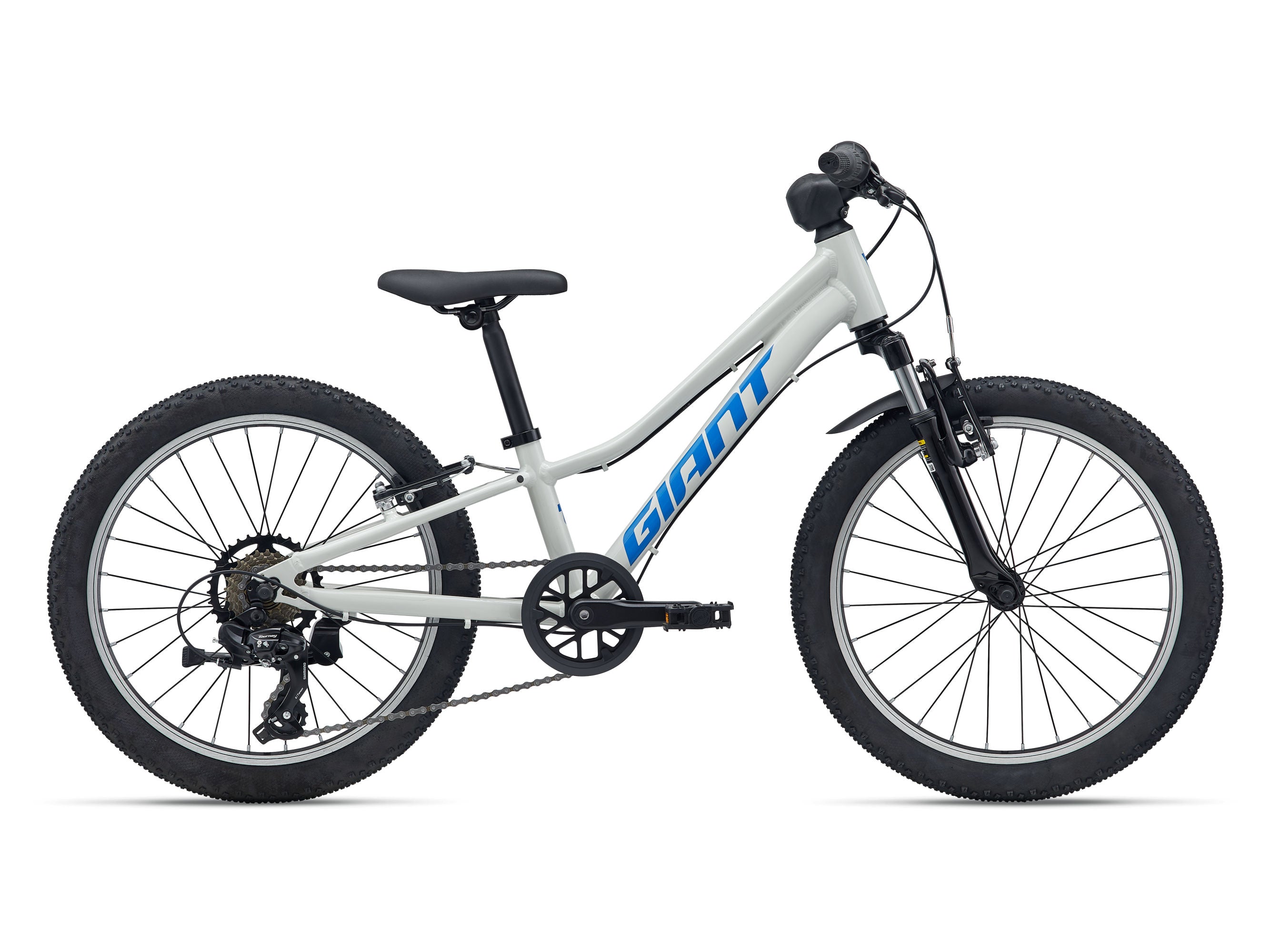 2026 GIANT TALON 20