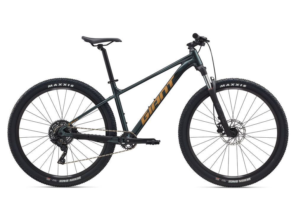 2025 GIANT TALON 2