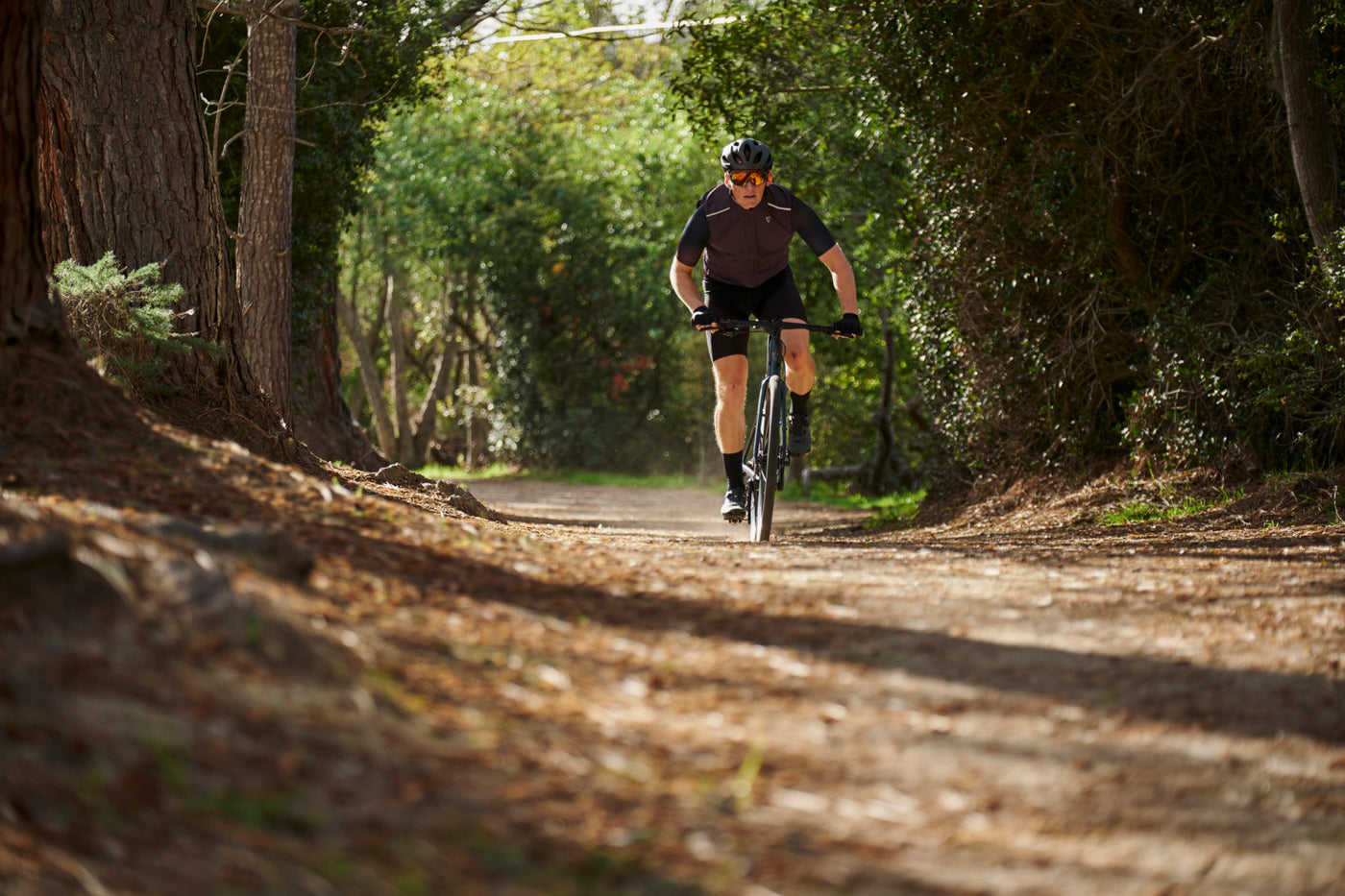 2025 GIANT FASTROAD AR 2