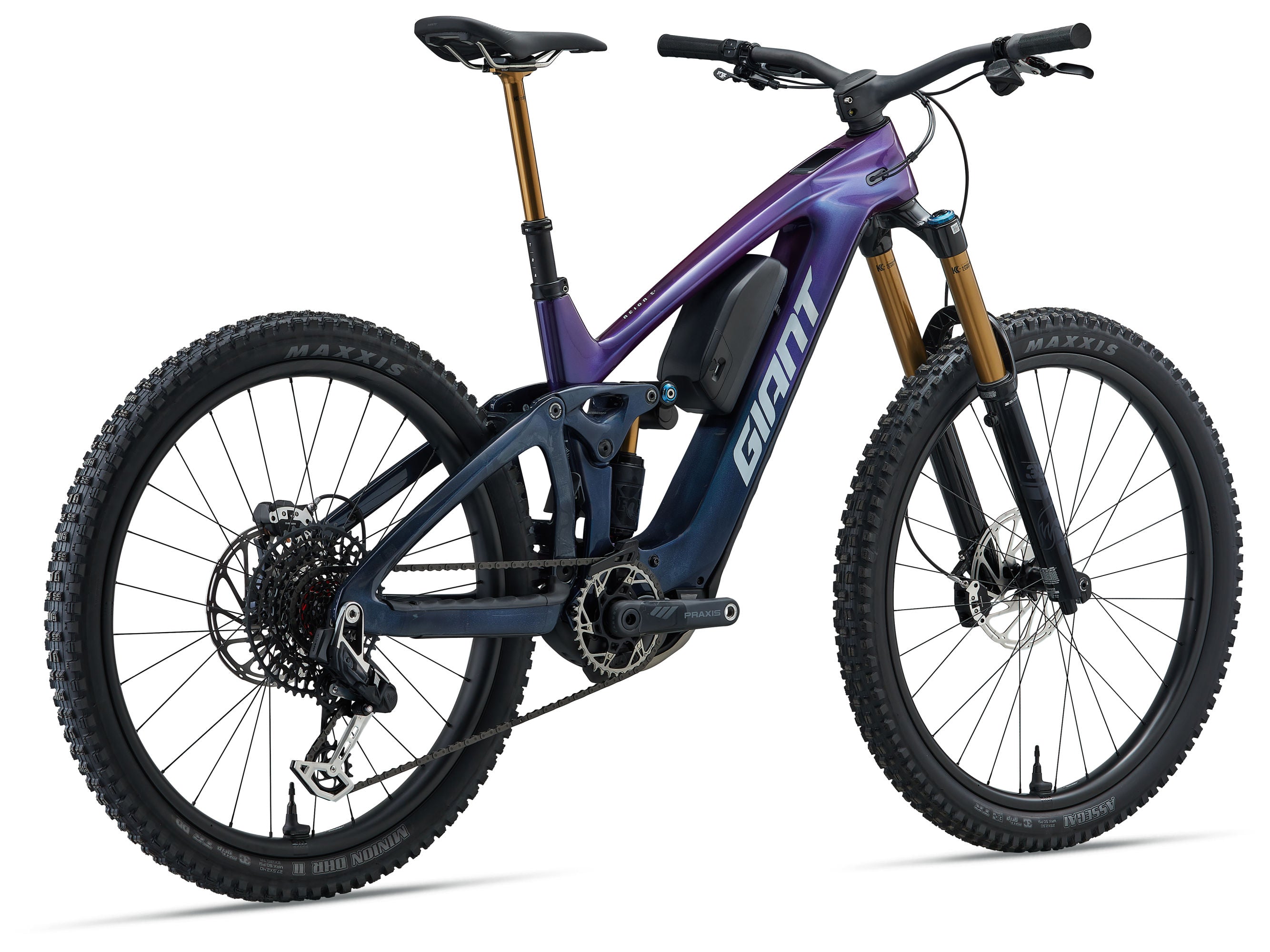 2026 GIANT REIGN E+ ADVANCED 0
