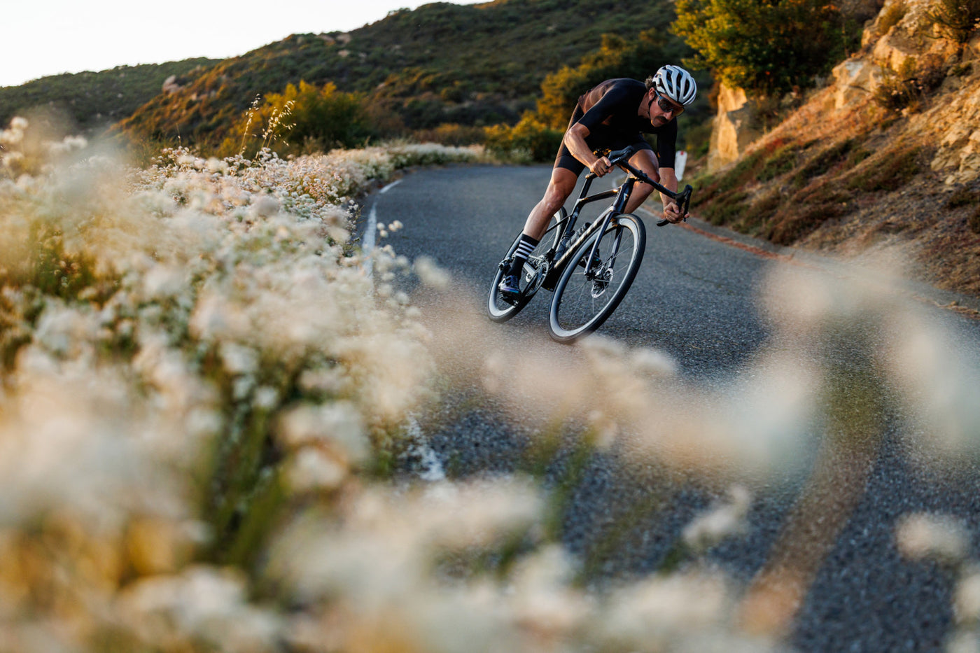 2026 GIANT DEFY ADVANCED PRO 0
