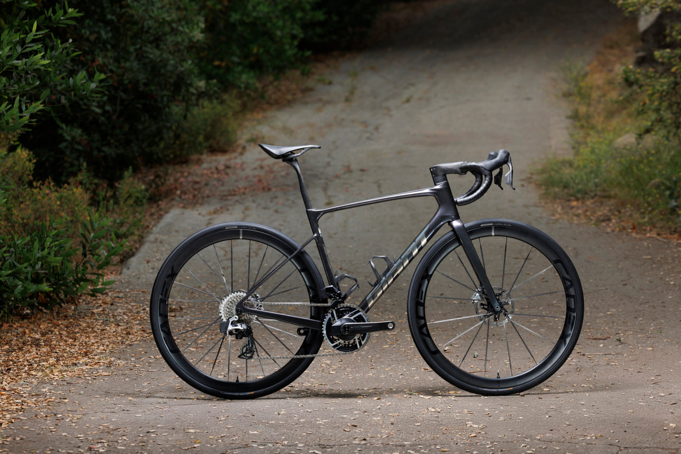 2026 GIANT DEFY ADVANCED SL 0 – Giant Ormond