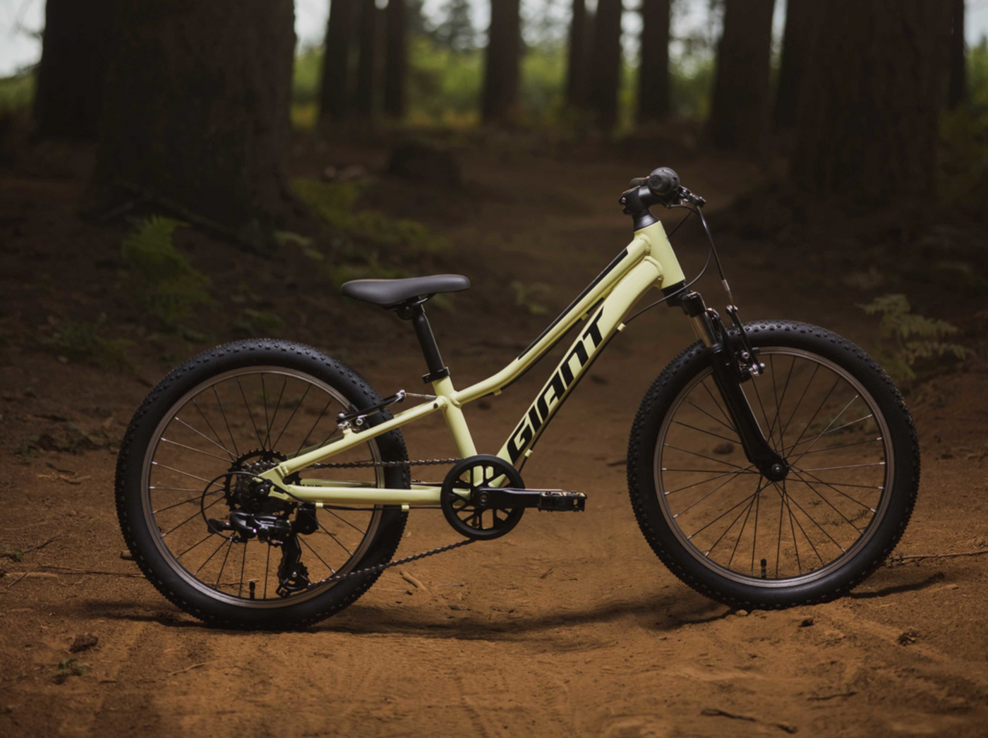 2024 GIANT TALON 20"