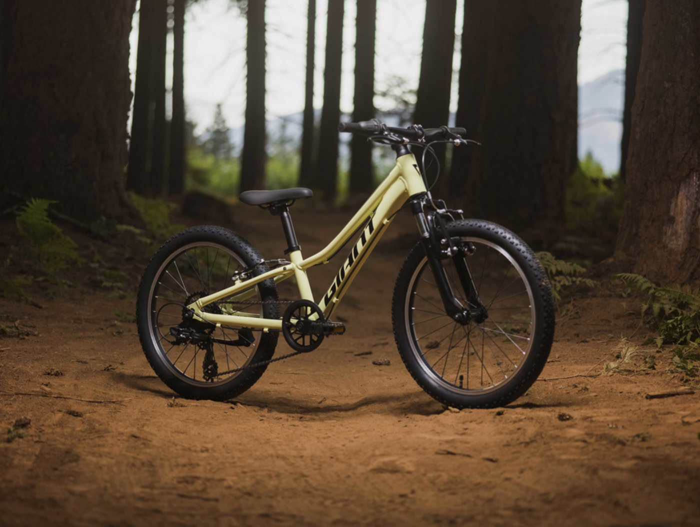 2024 GIANT TALON 20"
