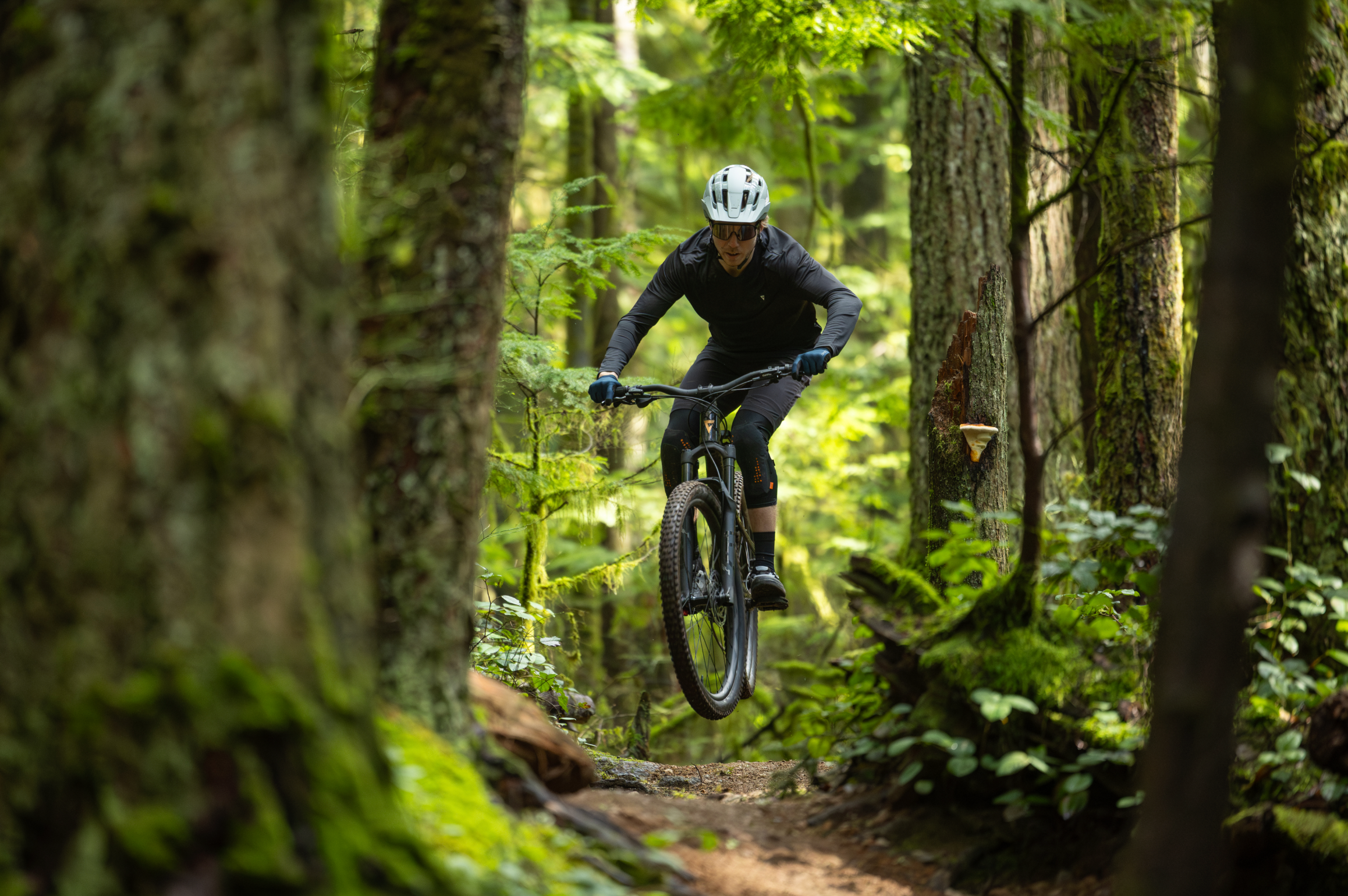 shop the Giant Range